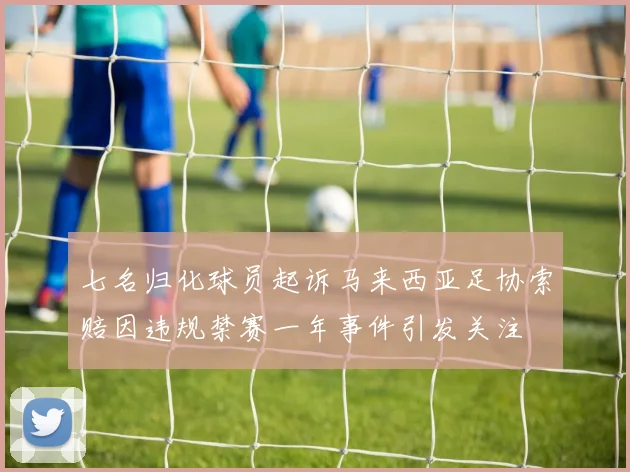 七名归化球员起诉马来西亚足协索赔因违规禁赛一年事件引发关注