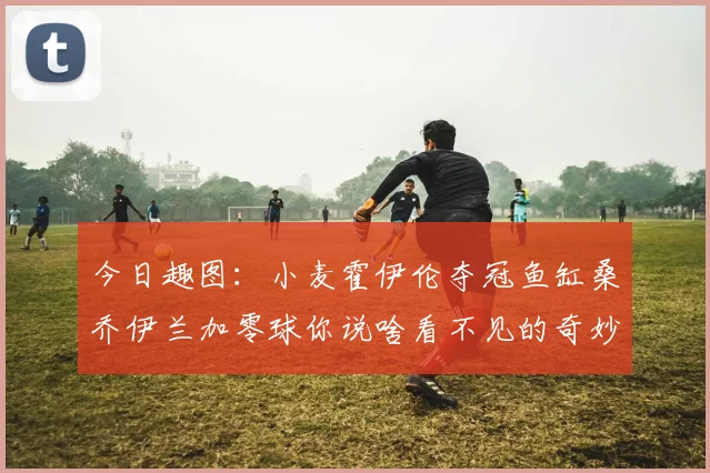 今日趣图：小麦霍伊伦夺冠鱼缸桑乔伊兰加零球你说啥看不见的奇妙瞬间