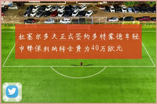 杜塞尔多夫正式签约多特蒙德年轻中锋保利纳转会费为40万欧元