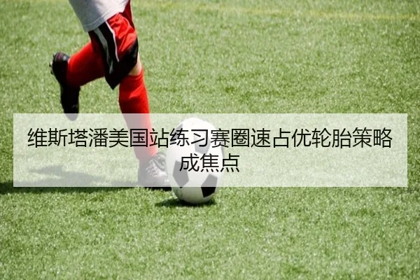 维斯塔潘美国站练习赛圈速占优轮胎策略成焦点